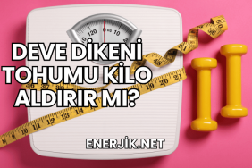 Deve Dikeni Tohumu Kilo Aldırır mı?