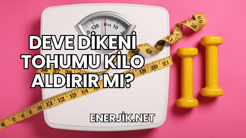 Deve Dikeni Tohumu Kilo Aldırır mı?