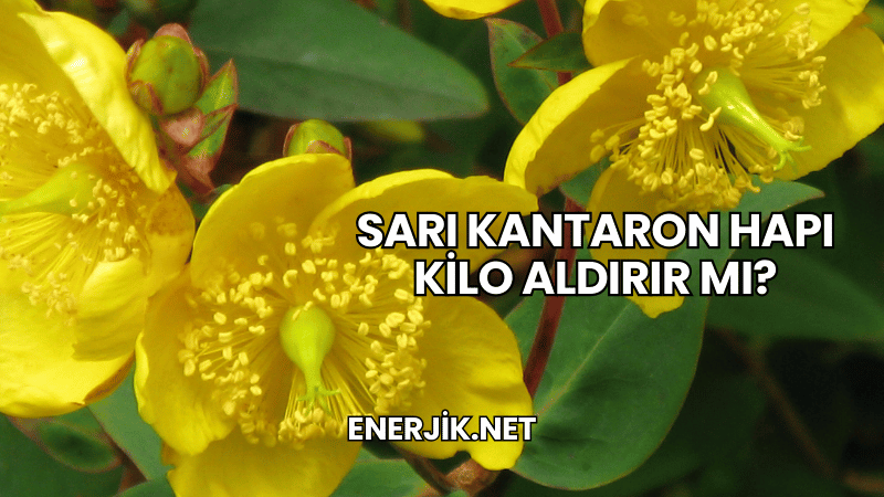 Sarı Kantaron Hapı Kilo Aldırır mı?