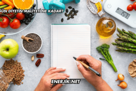 1 Öğün Diyetin Maliyeti Ne Kadar?