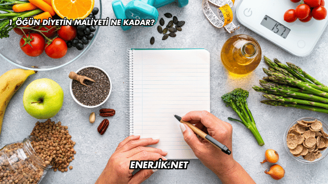 1 Öğün Diyetin Maliyeti Ne Kadar?