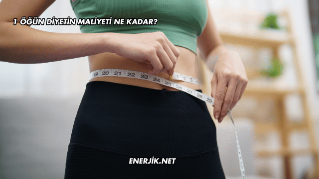 1 Öğün Diyetin Maliyeti Ne Kadar?