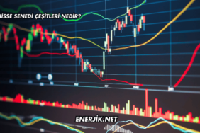 Hisse Senedi Çeşitleri Nedir?