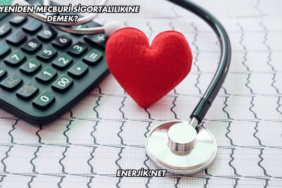 4B Yeniden Mecburi Sigortalılık Ne Demek?