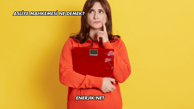 Asliye Mahkemesi Ne Demek?