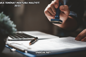 Banka Teminat Mektubu Maliyeti 2025