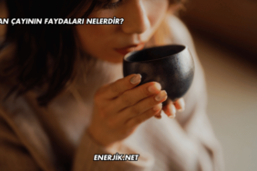 Bayan Çayının Faydaları Nelerdir?