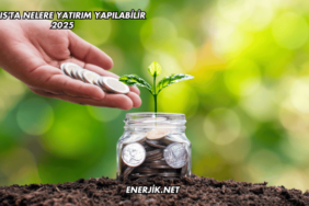 Kıbrıs'ta Nelere Yatırım Yapılabilir 2025