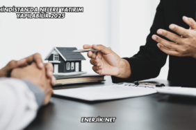 Hindistan'da Nelere Yatırım Yapılabilir 2025