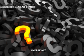 İngilizcede IMAO Ne Demek?