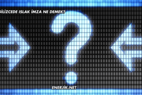 İngilizcede Islak İmza Ne Demek?