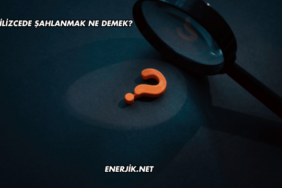 İngilizcede Şahlanmak Ne Demek?