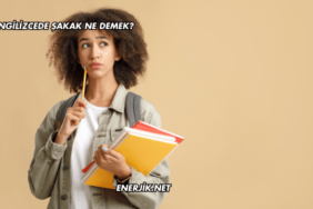 İngilizcede Şakak Ne Demek?