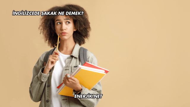 İngilizcede Şakak Ne Demek?