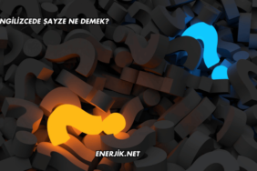 İngilizcede Şayze Ne Demek?