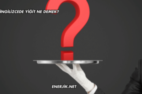 İngilizcede Yiğit Ne Demek?