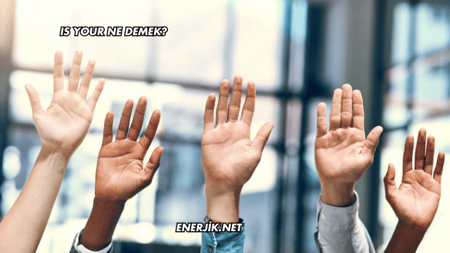 Is Your Ne Demek?
