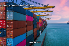 İthalat İhracat Belgesi Maliyeti 2025