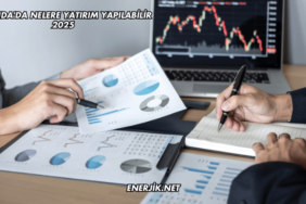 İzlanda'da Nelere Yatırım Yapılabilir 2025