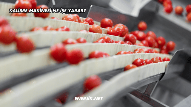Kalibre Makinesi Ne İşe Yarar?