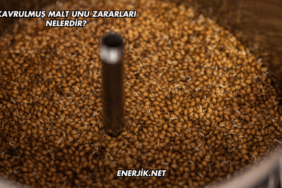 Kavrulmuş Malt Unu Zararları Nelerdir?