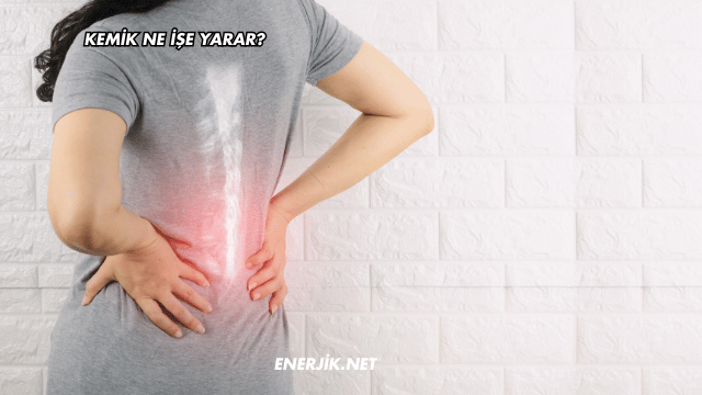 Kemik Ne İşe Yarar?