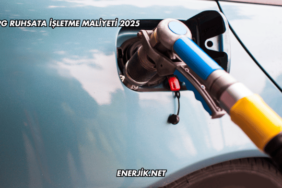LPG Ruhsata İşletme Maliyeti 2025