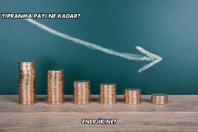 Yıpranma Payı Ne Kadar?