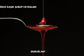 Zinco Kaşık Şurup Faydaları