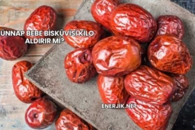Hünnap Bebe Bisküvisi Kilo Aldırır mı?