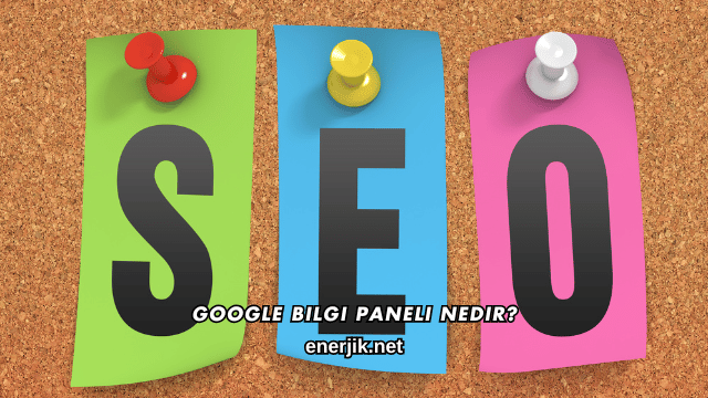 Google Bilgi Paneli Nedir?