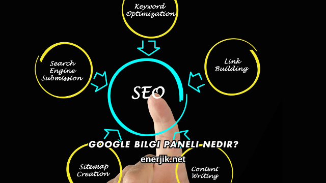 Google Bilgi Paneli Nedir?