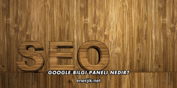 Google Bilgi Paneli Nedir?