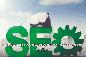 Google Bilgi Paneli Oluşturma Hizmeti Nedir?